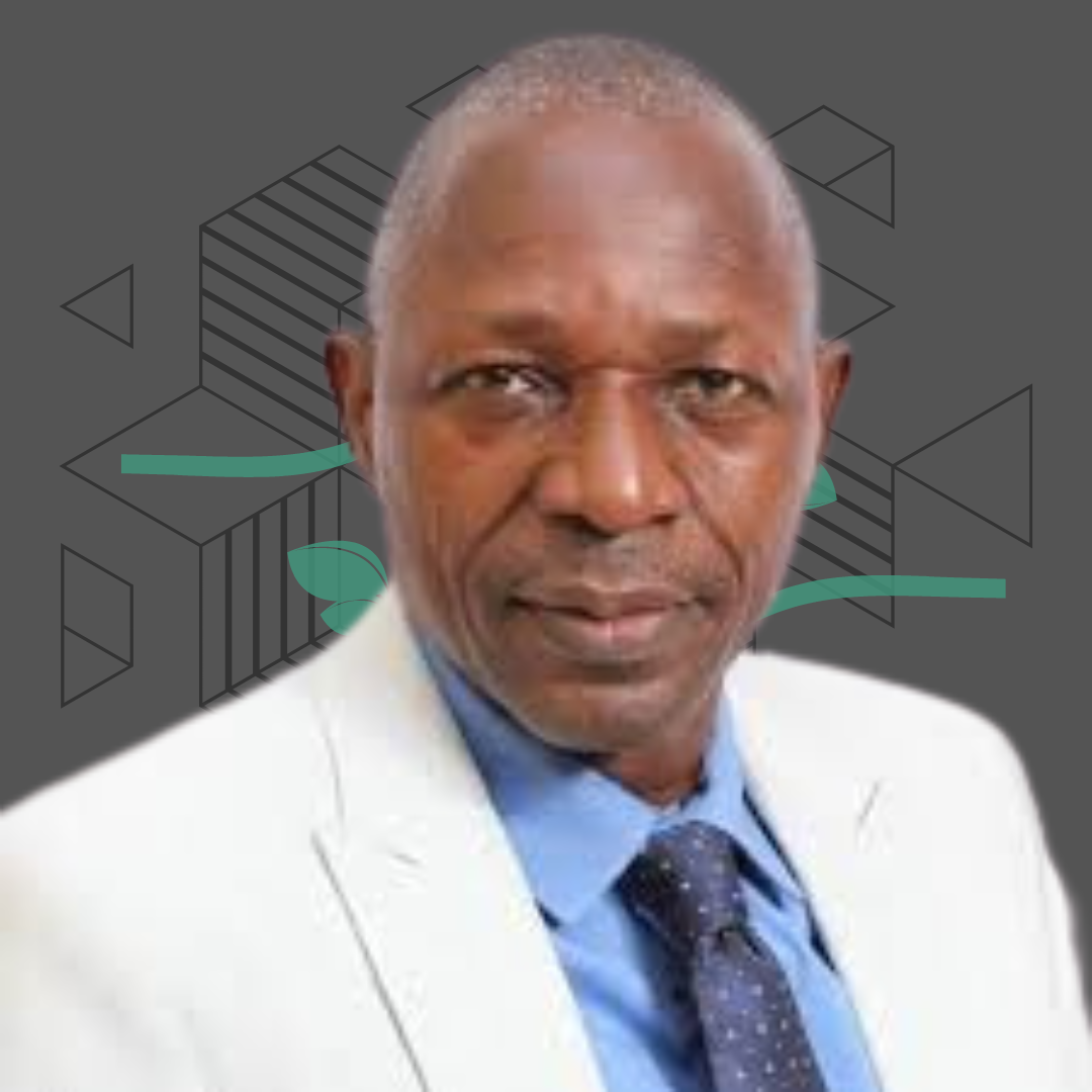Prof. Rotimi Williams Olatunji 